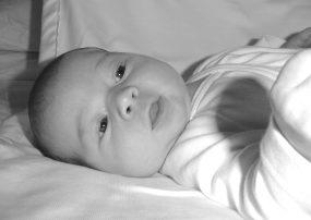 DSC01784.jpg