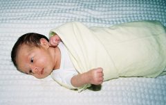 Havluci-R2-022-9A.jpg